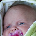20110515-_DSC0083